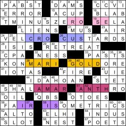 Sunday, May 25, 2008 NYT crossword by Elizabeth C. Gorski