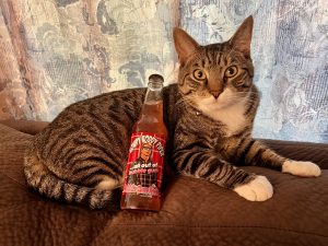 A brown tabby cat with white neck and front paws. In front of the cat is a bottle of pink soda labelled "ROWDY RODDY PIPER ...all out of bubble gum Bubble Gum Soda"