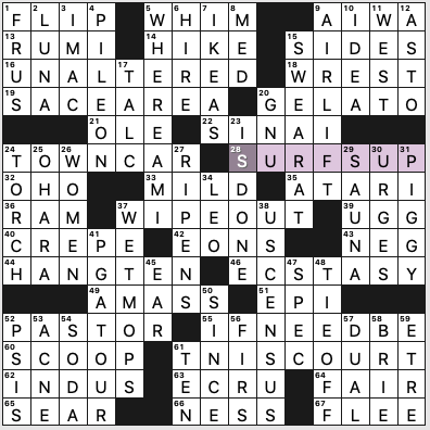 Wave rider clearance crossword clue