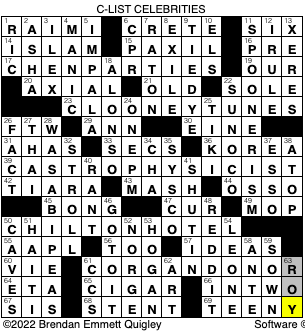 Wave rider crossword clearance clue