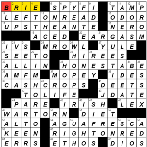 indentation on a chew toy crossword