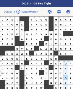 Erik Agard's USA Today crossword, "Two Tight" solution for 11/25/2022