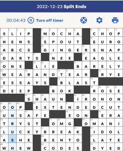 Li Ding's USA Today crossword, "Split Ends" solution for 12/23/2022