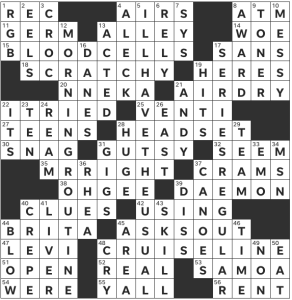 Ada Nicolle's USA Today crossword, "Low Standards" solution for 12/16/2022