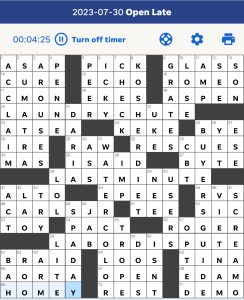 Amanda Rafkin's USA Today crossword, "Open Late" solution for 7/30/2023