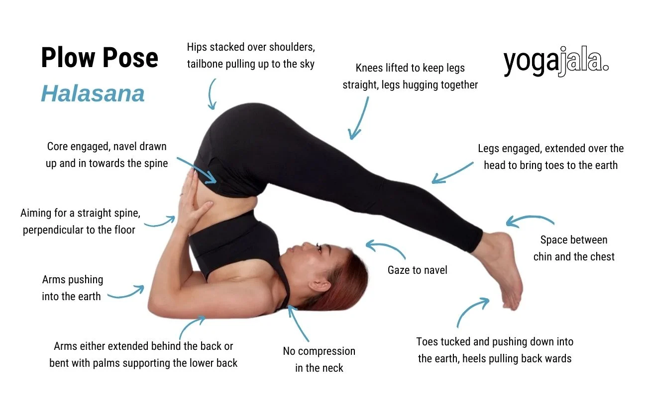Easy steps to do Halasana or plow pose to reduce belly fat | HealthShots