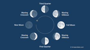 The Phases of the Moon